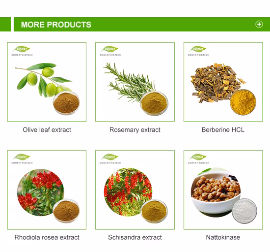 Extracto de planta natural Extracto de Goji
